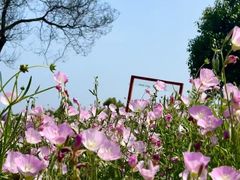 -眉山湿地公园(东坡区)
