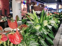 -管氏翅吧(台湾街店)