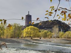 -永定河休闲森林公园