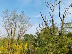 -白鹭湾湿地公园