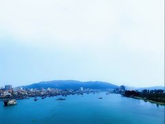 -广东惠东海龟国家级自然保护区