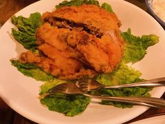 -汤山温泉房车营地 茶温泉