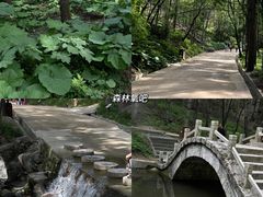 -洛阳白云山景区
