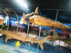 -山东省科技馆(新馆)