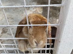 -金庭庄园酒店-停车场