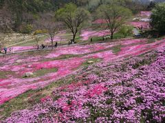 -昆嵛山石门里景区