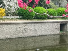 -元大都城垣遗址公园