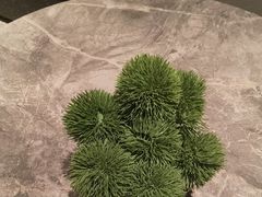 -漫·汤泉