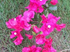 iphone_upload_pic-江滨公园