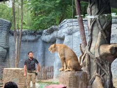 -清迈夜间动物园