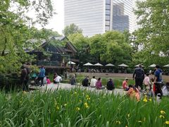 -静安公园(静安寺街道)