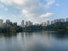 -重庆彩云湖湿地公园