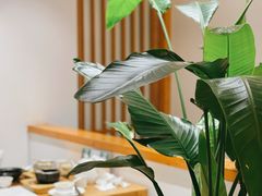 -枣子树·素食餐厅(普陀山店)