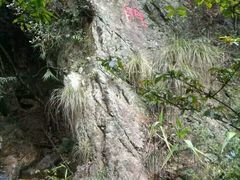-牛鱼嘴原始生态风景区
