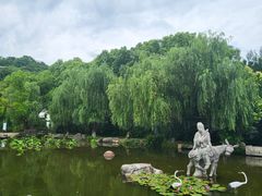 -宜兴张公洞