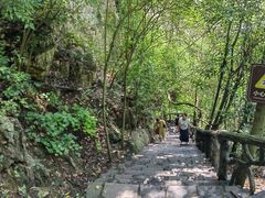 -三峡人家风景区