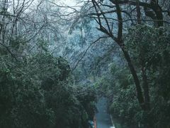 -南京老山国家森林公园