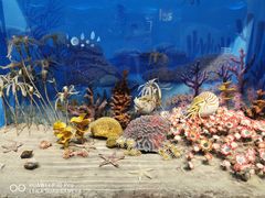 -国家自然博物馆