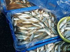 -霞涌市场海鲜摆卖区