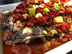 经典香辣烤鱼（清江鱼/份）-锦尚阁烤鱼(望京新荟城店)