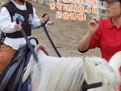 -骑乐马术(广州奥体优托邦中心)