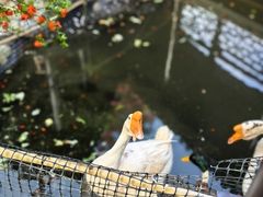 -日出青木·杭帮菜名店