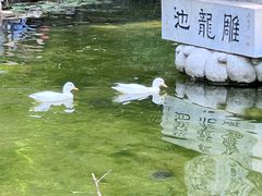 -南山风景名胜区