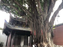 -同利肉燕老铺(澳门路店)