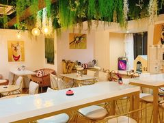 -Husky Go! 哈士奇体验馆·宠物咖啡厅狗咖