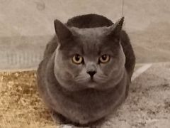 -美联众合24小时·皮肤科·外科·全科诊疗中心(华苑分院)