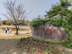 -鹅湖玫瑰文化园