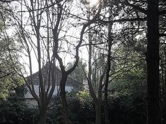 -尚庄度假村·庭台树下·户外烧烤·团建CS·轰趴营地(上庄水库店)