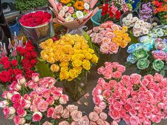 -循礼门鲜花花市(武汉循礼门店)