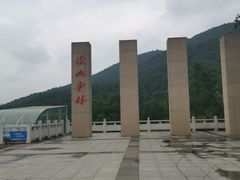 -铁山坪森林公园
