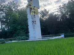 -北坞公园