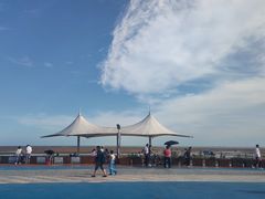 -刘家湾赶海园