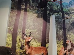 -房山世界地质公园博物馆