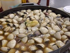 -顺德哥卜卜贝(旗舰店)