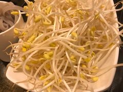 仁虎井水豆芽-仁虎老火锅(黄泥磅店)