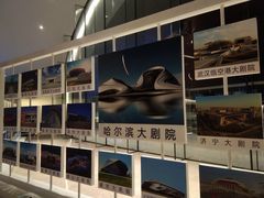-哈尔滨大剧院