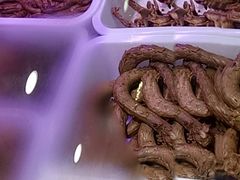 -钱商茉莉香鸭颈王(浑南店)