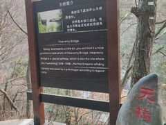 -庐山风景区花径公园