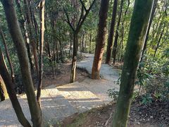 -水濂山森林公园