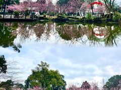 -南山植物园
