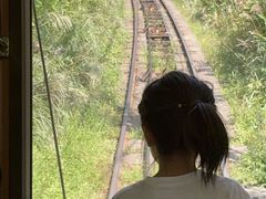 -神户市立六甲山牧场