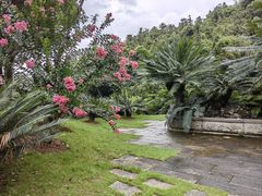-深圳仙湖植物园