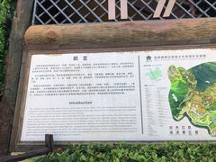 -海南槟榔谷黎苗文化旅游区