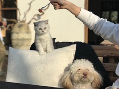 -悦哉·派对·草坪婚礼·围炉煮茶(三圣乡店)