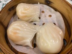 -七爺清汤腩(南开大悦城店)