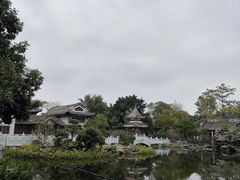 -顺峰山公园